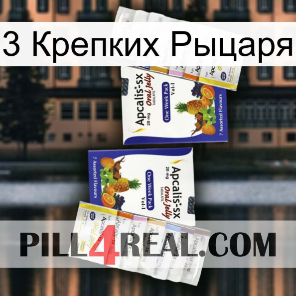 3 Крепких Рыцаря 12.jpg